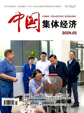 《中国集体经济》